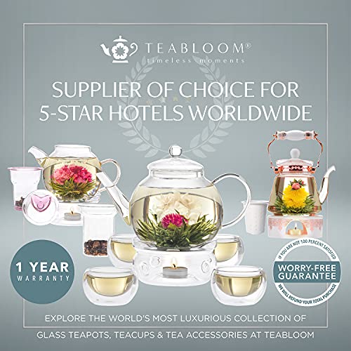Teabloom 2-in-1 Tea Kettle and Tea Steeper - Glass Teapot with Thermometer and Stainless Steel Loose leaf Tea Infuser, No Whistle Kettles, Virtuoso 34-Ounce Tea Maker