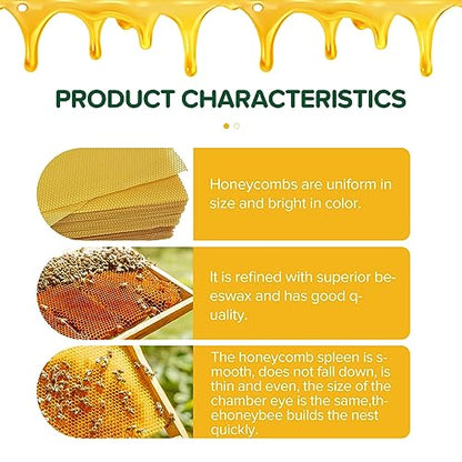 Blingbin 10Pcs Natural Beeswax Sheets, 5.1x3.5 inch Beeswax Candle Wax, Beeswax Foundation Sheets for Candle Making, Beekeeping Bee Wax Nest Bed Beeswax Honeycomb Sheet Easy DIY Candle Making Kit Gift