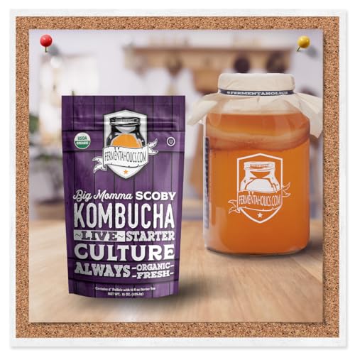 Fermentaholics BIG MOMMA Kombucha SCOBY – 12 fl o z – 6" Pellicle + 12 oz Starter Tea – Organic Kombucha Culture – Makes 1 Gallon