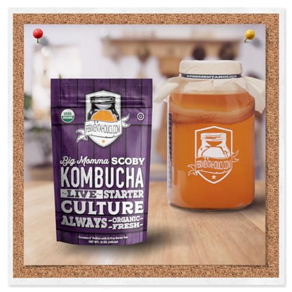 Fermentaholics BIG MOMMA Kombucha SCOBY – 12 fl o z – 6" Pellicle + 12 oz Starter Tea – Organic Kombucha Culture – Makes 1 Gallon