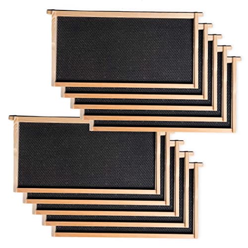 BeeCastle Heavy Wax Coated Unassembled Langstroth Deep/Brood Box with Frames and Beeswax Coated Foundation Sheet (10 Frame) - size: 10 Frame