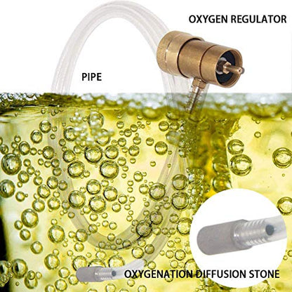 YOUHO Oxygenation Kit Oxygen Regulator for Brewing, Oxygen Valve for Disposable Tanks this Valve for an H2O MAPP bottle for brewing beer
