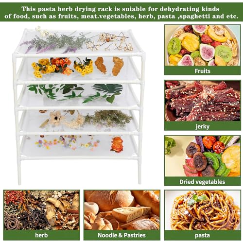 Colingmill 5 Layer Herb Drying Rack Drying Net Dryer Stand 23.6 x 23.6 Inch Herb Dryer Storage Rack for Fresh Herbs Flowers Tea Fruits Vegetables Plant Pasta Dry Laundry Clothes Specimens