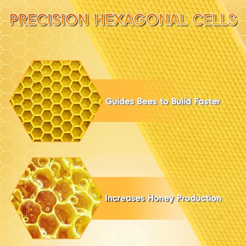 20PCS Natural Beeswax Coated Bee Frame Medium Foundation Sheets, Food-Grade Plastic Bee Hive Foundation for Medium Super Frames (Yellow) - color: Yellow, size: 20PCS
