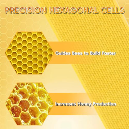20PCS Natural Beeswax Coated Bee Frame Medium Foundation Sheets, Food-Grade Plastic Bee Hive Foundation for Medium Super Frames (Yellow) - color: Yellow, size: 20PCS