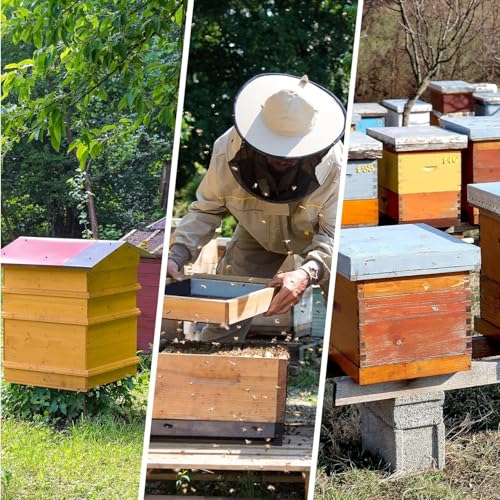 Beekeeping Hive Mover for 10 Frame Bee Hives Boxes, Hive Carrier Suitable for Deep/Medium Shallow Superbox, Bee Hives Boxes Starter Kit Beekeeping