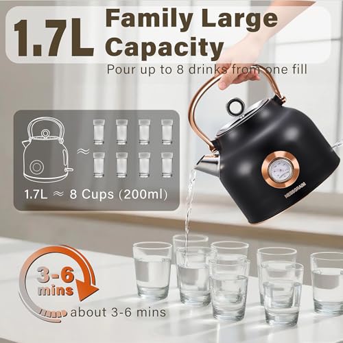 Retro Electric Kettle, 1.7L Stainless Steel Tea Kettle with Large Temperature Gauge, 1500W Fast Heating Hot Water Boiler with LED Indicator, Auto Shut-off & Boil-Dry Protection-Reteo Black - color: Retro Black