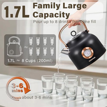 Retro Electric Kettle, 1.7L Stainless Steel Tea Kettle with Large Temperature Gauge, 1500W Fast Heating Hot Water Boiler with LED Indicator, Auto Shut-off & Boil-Dry Protection-Reteo Black - color: Retro Black
