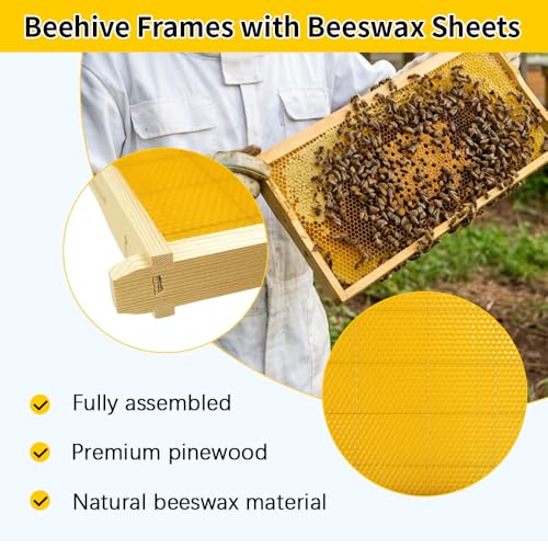 10 Pack Beehive Frames with Beeswax Sheets, Assembled Deep Beehive Frames and Beeswax Foundation Sheets, 9-1/8-Inch for Beekeeping Supplies (10PCS) - size: 10Pcs