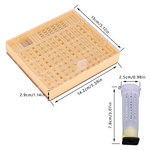 Plastic Queen Rearing System, Beekeeping Queen Bee Rearing Grafting Kit Rearing Box Cage Beekeeping Tools for Queen Beel Beekeeping Equipment