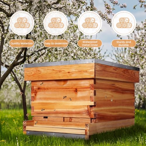 AceOrbit 10 Frame Bee Hive Kit with Wax-Coated Wooden Box Telescoping Cover Screened Bottom Board Beekeeping Supplies with Pull-Out Plastic Base and Entrance Reducer