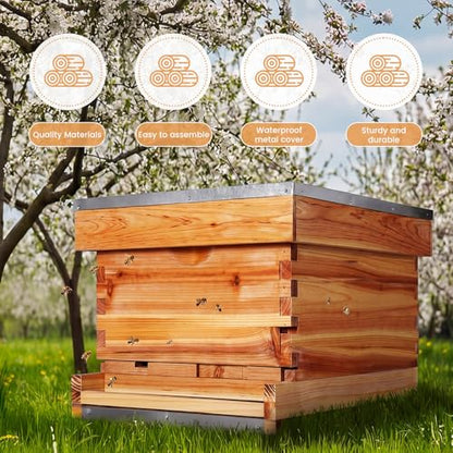 AceOrbit 10 Frame Bee Hive Kit with Wax-Coated Wooden Box Telescoping Cover Screened Bottom Board Beekeeping Supplies with Pull-Out Plastic Base and Entrance Reducer