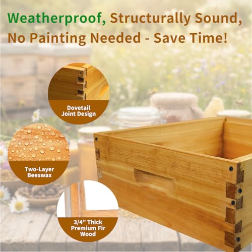 Unassembled 10-Frame Medium Beehive Box with Beeswax Dip - Standard Langstroth Super Box, Beekeeping Hive Parts (No Frames/Foundations), 19-7/8" L x 16-1/4" W