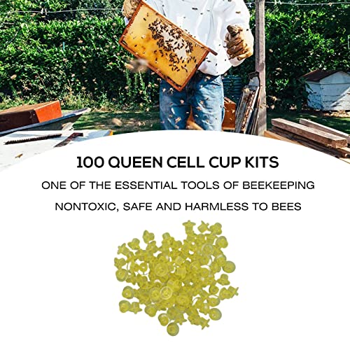 Kavolet 100PCS Queen Bee Rearing Cup Plastic Beekeeping Supplies, Queen Bee Cell Cup Rearing Kit Vivid Color for Beekeeper - Cell Apiculture Grafting Tool (Yellow) - color: Yellow