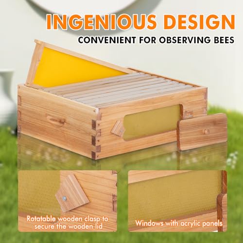 Honey Lake 10 Frame Beehive Medium Super Box with Window, Langstroth Bee Hive Box Kit Dipped in Beeswax Include Wooden Frames & Waxed Foundations, Bee Boxes for Beekeeping Supplement (Unassembled) - size: 10-Frame