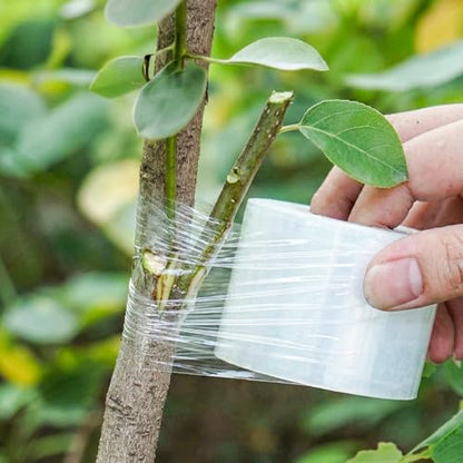 Garden Grafting Knife, Curved & Straight Garden Knife Blade, Tree Grafting Kits Including Grafting Tapes Plant Labels for Plant Branch Vine Fruit Tree Cutting - style: Garden Knife