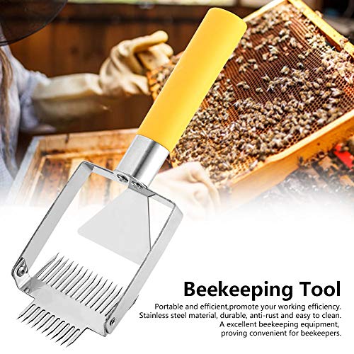 2 in 1 Beehive Knife Scraper, Stainless Steel Beekeeping Uncapping Fork, Honeycomb Honey Scraper, Beekeeper Equipment Tool