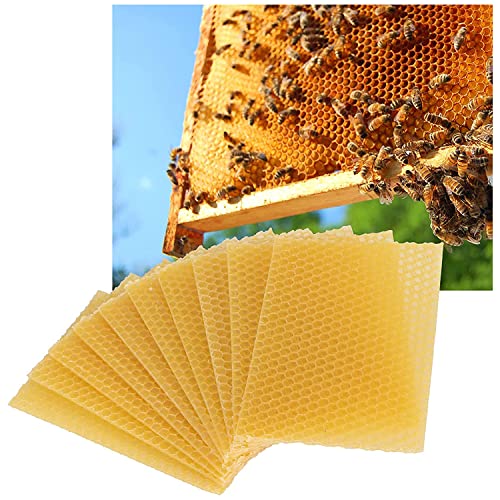 ZYAMY 10pcs Beeswax Sheets 5.1" x 3.5" Natural Beehive Wax Frame Beekeeping Equipment for Handicraft, Candle Making, Lubricating Oil and Furniture Polishing