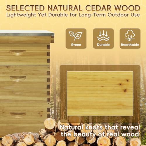 10-Frame Langstroth Beehive Beeswax Coated, 3 Layer Complete Bee Hive Kit Include Bee Frames and Waxed Foundation Sheets for Beekeeping (2 Deep Boxes & 1 Medium Box)