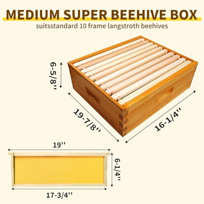 10 Frame Langstroth Medium Super Box Dipped in Beeswax, Bee Hive Box Sections of Wood for Beehives Include Beehive Frames and Wax Foundations(Yellow Unassembled) - size: Medium 10pack