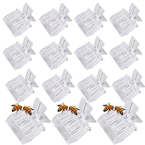 15 Pcs Queen Bee Cage Catcher Clip Transparent Plastic Beekeeping Tools kit