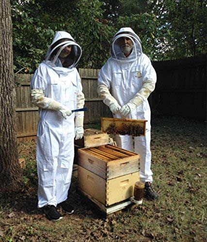 Professional Beekeeping Suit and Goatskin Gloves (1 Pair) Self-Supporting Fencing Veil and YKK Metal Zippers - Easy On and Off – Bee Family Car Stickers - X-Small - size: X-Small
