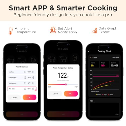 Newise Bluetooth Meat Thermometer with Smart APP, 800FT Wireless Range | LCD Base, Rechargeable Probe, Digital Food Thermometer for BBQ, Grill, Smoker, Perfect Gifts for Men - size: 1 Probe