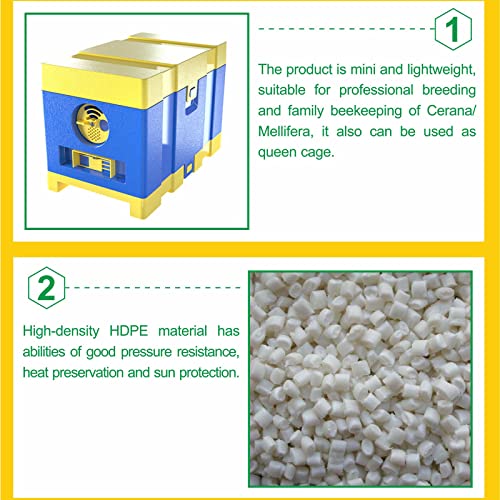 Queen Nuc Box Bee Mating Nuc Hive Bee House Mini Bee Hives Box Queen Rearing Box for Beekeeping (Blue)