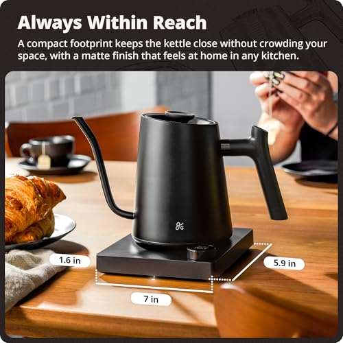 Greater Goods Electric Gooseneck Kettle, 1200W Stainless Steel with Precision Temperature Control, Fast Boil, BPA-Free, Ideal for Pour Over Coffee and Tea, 0.8L (Onyx Black) - color: Onyx Black