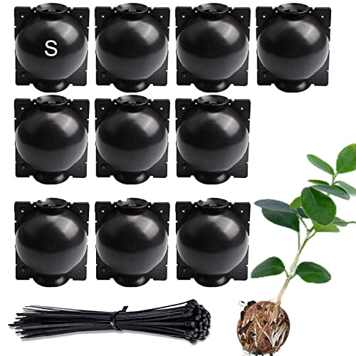 Tree Root Growing Box – Air Layering Propagation Pods for Woody Plants, Reusable Transparent Rooting Device for Magnolia, Fig, Citrus & Roses (10pcs Small, 3–9mm Branches) - color: Black-s-10pack