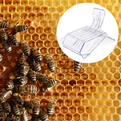 10PCS Bee Clip for Queen, Transparent Queen Catcher for Bees, Honeybee Queen Clips for Queen Bee Marking & Handling