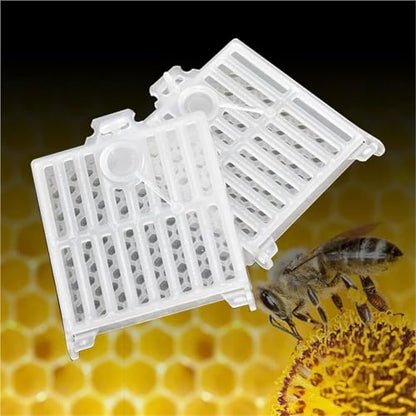 Queen Bee Cage 15pcs Queen Bee Post Cage Transparent Queen Bee Transport Cage Move Transmit Mail Box Catcher Beekeeping Supplies for Beekeeping Supplies