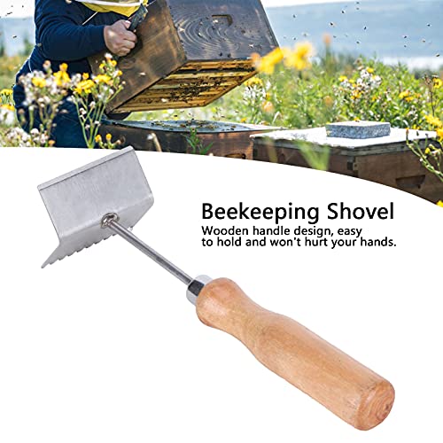 Beekeeper Supplies Queen Bee Excluder Cleaning Shovel Durable Stainless Steel Tool Wooden Handle for Beehive Cleaning