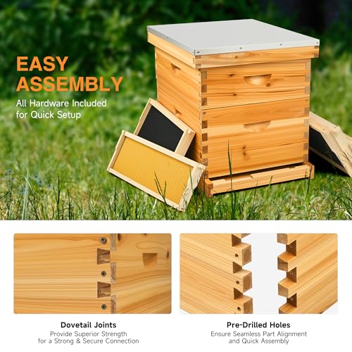 CREWORKS 10 Frame Bee Hive, 2 Layers Beeswax Coated Beehive Starter Kit with Frames & Foundations, Langstroth Bees Hives Box with Transparent Acrylic (Window Medium Box & Deep Box) - style: 2 Layer Beeswax Coated
