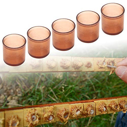 500Pcs Plastic Brown Cell Cups, Queen Rearing Honey Bee Beekeeping Supplies Grafting Kit Tool Smooth Mini Plastic Vials Container for Beekeepers Apiculture