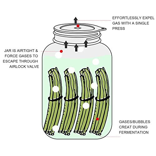 Sophico Silicone Fermenting Lids, Waterless Airlock Fermentation Tops Mason Jar Lid Fermenter Caps for Pickles, Kimchi, and Fermented Probiotic Food - 8 Pack, Wide Mouth (Jars Not Included) - color: MIX-8PACK-WIDE MOUTH