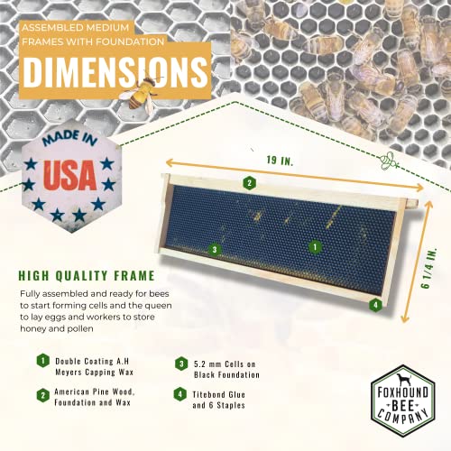 Foxhound Bee Company - Made in USA - Fully Assembled Medium Beekeeping Frames with Double Wax Beeswax Coated Plastic Foundation - 20 Pack - style: Medium - 20 pack