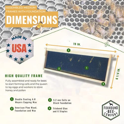 Foxhound Bee Company - Made in USA - Fully Assembled Medium Beekeeping Frames with Double Wax Beeswax Coated Plastic Foundation - 20 Pack - style: Medium - 20 pack