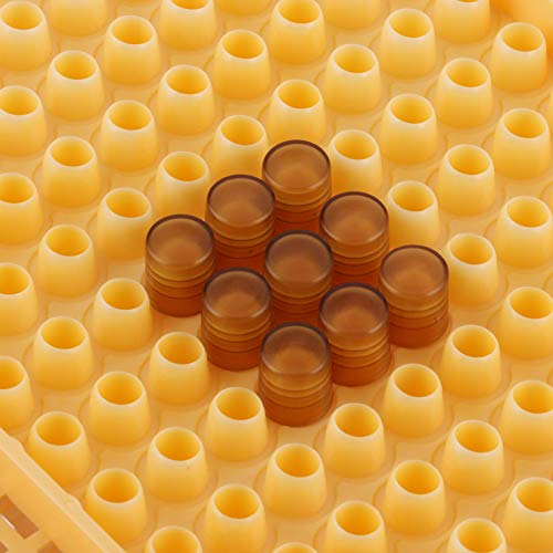 Plastic Queen Bee Rearing Box, Lightweight Portable Bee Grafting Kit Breeding Cell Cup Kit for Beekeeping Equipments Supplies