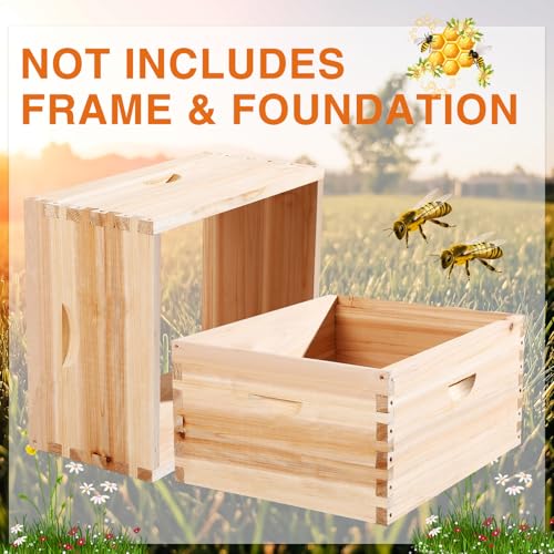 CroBlissful 2 Pcs 10 Frame Bee Hive Box Including Medium Super Beehive Box and Deep Brood Wooden Frames Bee Hives Starter Kit for Beginners Beekeepers (Unassembled)