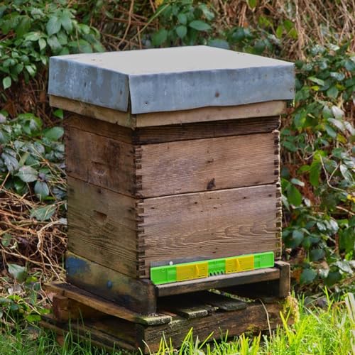 6 Pack Bee Hive Entrance Reducer Beehive Entrance Gates Bee Hive Plastic Reducer Guards Bee Hive Mouse Guard Beehive Tool Beekeeping Supplies for Professional Beekeeper or Beginner, Length 14.76 Inch - size: Entrance Reducers-6 Pack