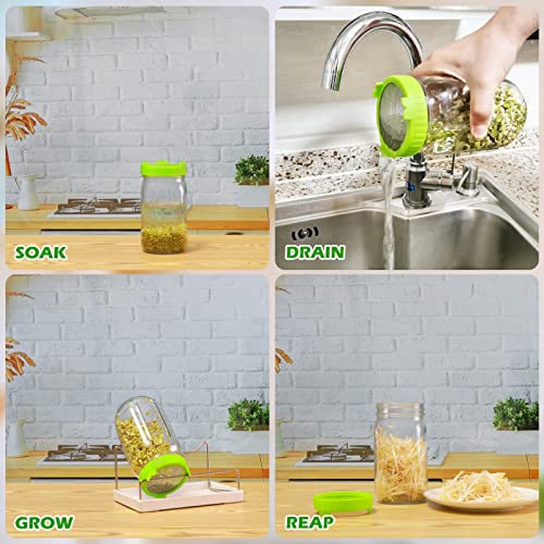 Kitmiido Seed Sprouting Kit, 2 Large Wide Mouth Mason Jars with Sprout Lids, Blackout Sleeves, Drain Tray, Stainless Steel Stand, Sprouts Growing Kit for Bean, Broccoli, Alfalfa (Yellow+Green) - color: Yellow&green