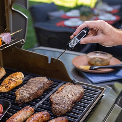 Fast Read Digital Probe Thermometer