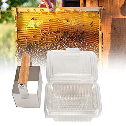 Stainless Steel Honey Cutter Scraper Comb Uncapping Tool with Plastic Case, Beekeeping Accessory