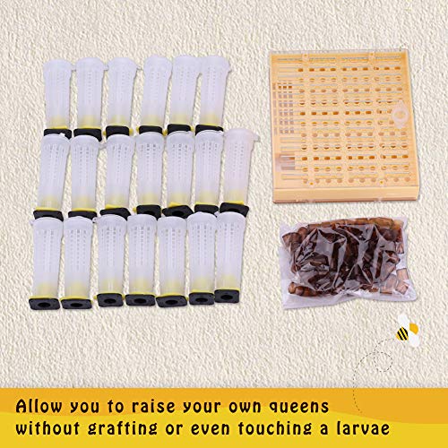 Plastic Queen Rearing System, Beekeeping Queen Bee Rearing Grafting Kit Rearing Box Cage Beekeeping Tools for Queen Beel Beekeeping Equipment