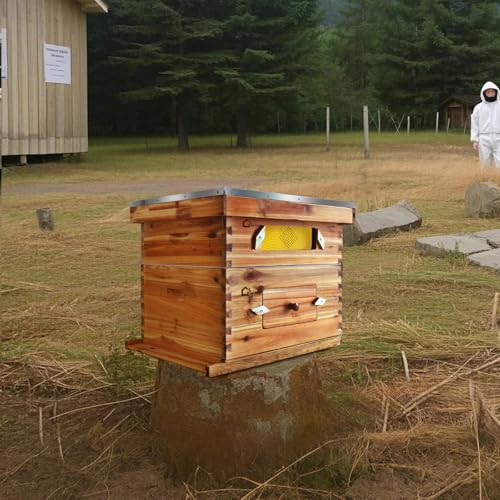 10 Frame Bee Hive Coated with Beeswax Complete Beehive Kit Bee Box with Beehive Frames and Wax Foundations Wax Coated Bee Hives for Beginner (1 Deep Box & 1 Medium Box)