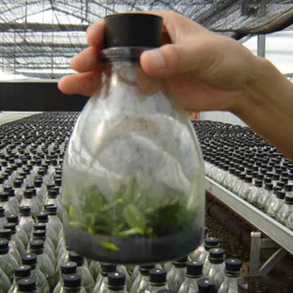 Contains 25 Pieces of 2# Specification Rubber Plugs to Meet Bulk Usage Needs - size: 25 Pcs 2#