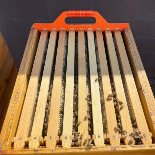 Bee Hive Frame Spacer Tool, 9 Frame Spacer for Spacing in a 10 Frame Sized Box, Beekeeping Accessories, Plastic Hive Frame Spacer, Orange, 41 x 9.6cm (16.14 x 3.78 inches)