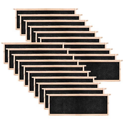 20 Pack Honey Bee Frames with 100% Beeswax Coated Food Grade Foundation Sheets, Complete Unassembled Medium Super Beehive Frames and Foundations - color: 20 Super Frame black