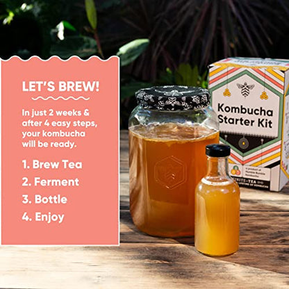 Craft A Brew Home Brewing Starter Kit Kombucha Tea Kit – Home Kombucha Kit – Fermentation Starter with Kombucha SCOBY – 1 Gallon - color: Starter Kit